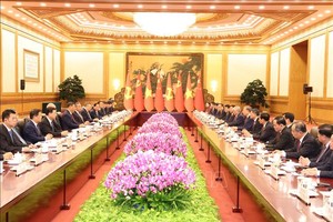 越南共产党中央总书记、国家主席苏林同中共中央总书记、国家主席习近平举行会谈。（图：越通社）