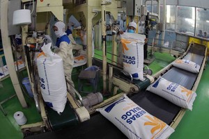 订单持续增加，越南大米出口企业对今年的业绩持乐观态度。（图：越通社）