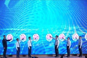 岘港市创业革新创新盛会开幕