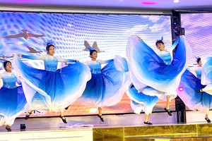 同奈省2024年文艺汇演成功举办