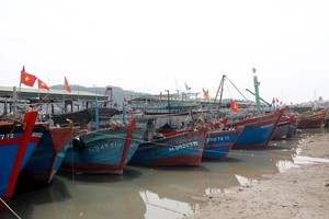 9月6日上午，义安省的所有船只已被禁止出海。（图：成周）