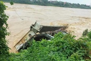 富寿省一桥梁倒塌