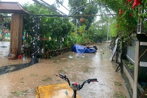 卫生部所属卫生防疫局提议各单位首长紧急指导复查并评价很有可能受台风与洪涝影响地区的疫情隐患，尤其是低洼地区、严重水淹与洪雨袭击地区。（图：VGP）