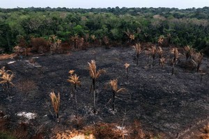 这是9月12日在巴西朗多尼亚州波多韦柳拍摄的一处发生过火灾的地点。（图：新华社）