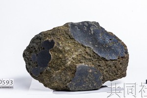 日本将首次展示在南极发现的「火星石」