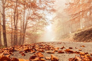 （示意图：互联网）