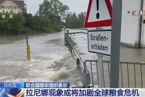 （图：CCTV视频截图）