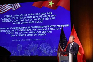 进一步推动越美关系稳步务实发展