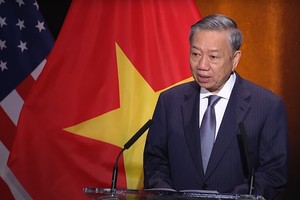 进一步推动越美关系稳步务实发展