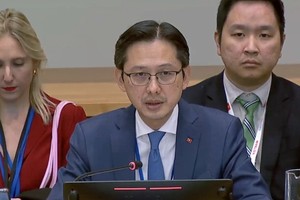 越南外交部副部长杜雄越在关于加强海平面上升相关挑战的适应能力、融资能力和韧性的专题讨论会上发表讲话。（图：越通社）