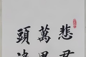 陈先明书法作品欣赏