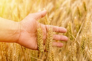 （示意图：互联网）