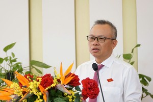 国会对外委员会副主任阮孟进在会议上发言。（图：VGP）