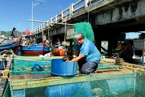从事石斑鱼网箱养殖渔民年收入约 10 亿元