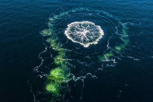 2022年9月26日，连通俄罗斯和德国以及其他欧洲国家的波罗的海海底输气管道“北溪-1”和“北溪-2”在丹麦、瑞典附近海域发生剧烈爆炸，大量天然气泄漏。（图：互联网）