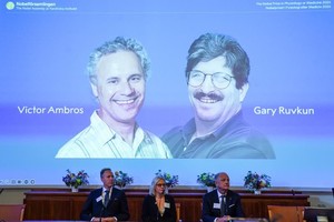 2024 年诺贝尔生理学或医学奖揭晓