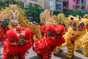 市龙狮协会为春节表演活动作准备