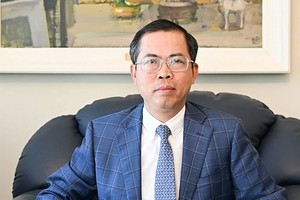 越南驻澳大利亚大使范雄心。（图：VOV）