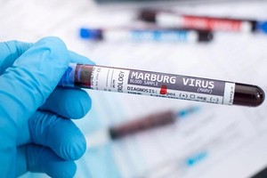 （示意图：互联网）