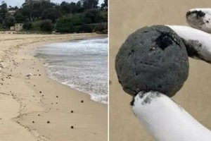 悉尼海滩出现大量“神秘黑球”
