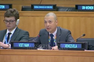 越南常驻联合国代表团副团长阮黄原公使在会议上发表讲话。（图：越通社）