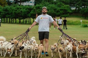 遛最多狗创世界纪录