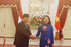 越南国家副主席武氏映春会见印尼总统普拉博沃。（图：越通社）