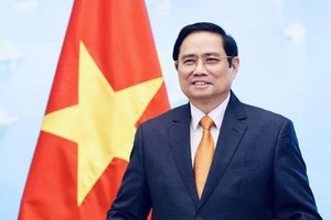 进一步深化越南与金砖国家合作关系