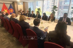 邓黄江大使与《联合国海洋法公约》之朋友小组创始国代表会面。（图：越通社）