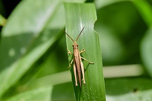 （示意图：互联网）