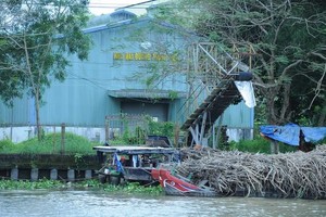 凤协制糖厂继续停产。（图：景奇）