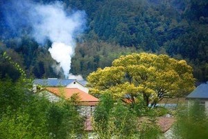 （示意图：互联网）