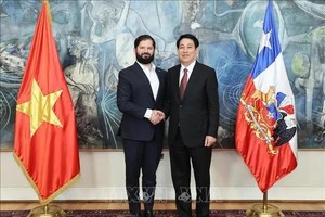 越南国家主席梁强（右）与智利总统博里奇握手。（图：越通社）
