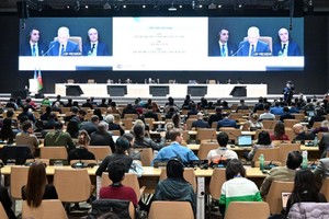 巴库气候大会现场。（图：AFP）