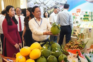 代表们参观并了解安江省的各种农产品。（图：黄雪）