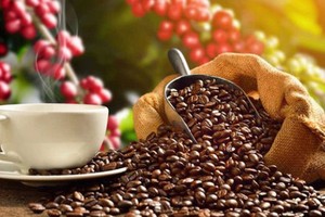 （示意图：互联网）