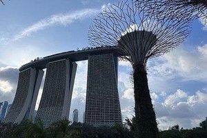 新加坡民众劳动参与率连续3年下滑。（图：互联网）