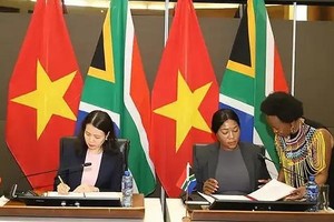 推动越南与南非合作关系迈上新台阶