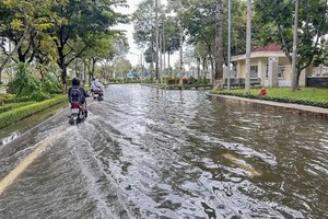 图为今年10月中旬，芹苴市萍水郡多条街道因潮汛高涨而被淹没。（图：越通社）