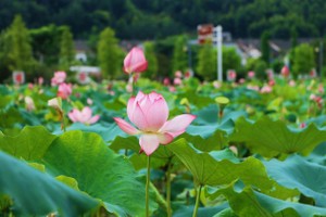 （示意图：互联网）