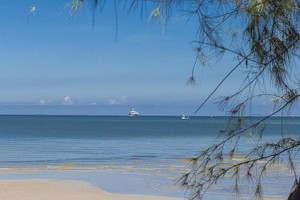 （示意图：互联网）