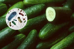 （示意图：互联网）