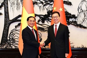 政府副总理兼外长裴青山（左）会见中国副主席韩正。（图：VGP）