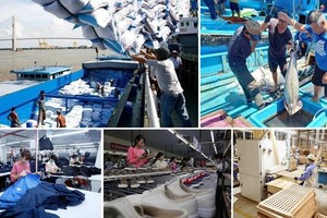 越南政府总理签发关于促进2025年经济增长的通知。（图：越通社）