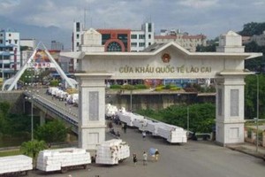 建设老街成为越南与东南各国以及中国西南地区经济互联互通中心。（图：VGP）