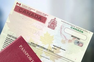 （示意图：Wego.com）