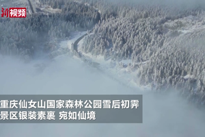 重庆仙女山国家森林公园雪后初霁美如画