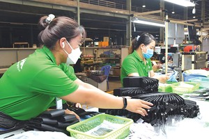 2024年补充国家经济活动总注册资金达3572万零886亿元，同比增1.17%。（图：黎宇）