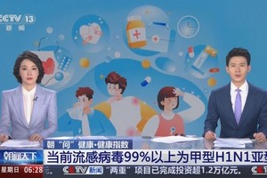 （图：CCTV视频截图）