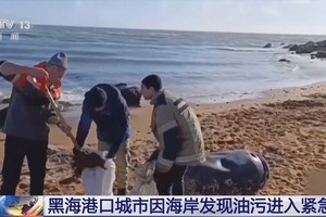 （图：CCTV视频截图）